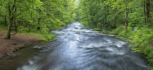 White water and rapids on the Trieb stream in the Triebtal nature reserve in Vogtland, Plauen, Saxony, Germany, Europe