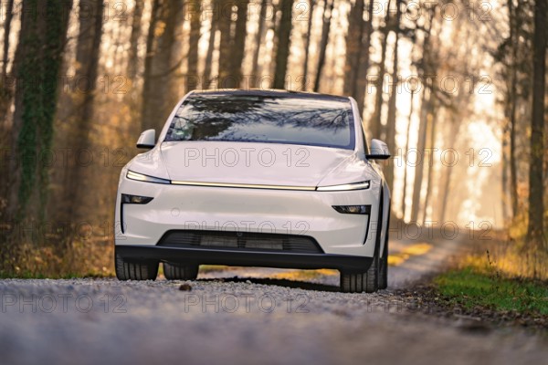 White car on a forest path, surrounded by trees in the sunlight, Tesla, New Model Y, Black Forest, Germany, Europe