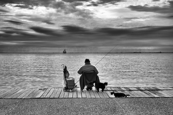 Fisherman, angler sitting on the promenade by the sea, cats, black and white, Thessaloniki, Macedonia, Greece, Europe