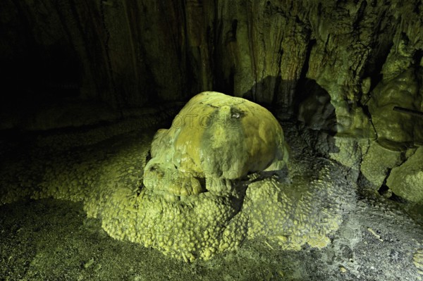 Arched turtle, calcite formation, landmark of the grotto, stalactite cave, Höllgrotten, Baar, Canton Zug, Switzerland, Europe