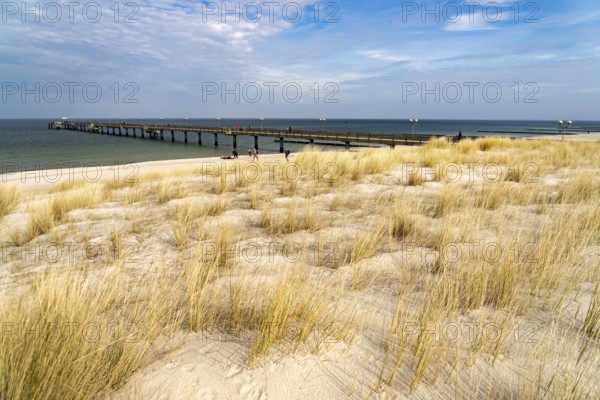 Dunes on the Baltic Sea beach and the pier at Graal-Müritz, Mecklenburg-Vorpommern, Germany, Europe