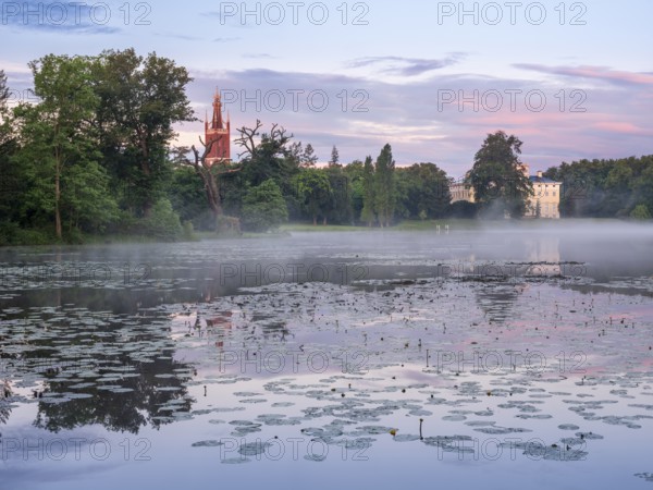 View over Lake Wörlitz to Wörlitz Castle and the Bible Tower of St Peter's Church in Wörlitz Park in the morning, mist on the water, water lilies in front, Garden Kingdom Dessau-Wörlitz, Wörlitz, Saxony-Anhalt Germany