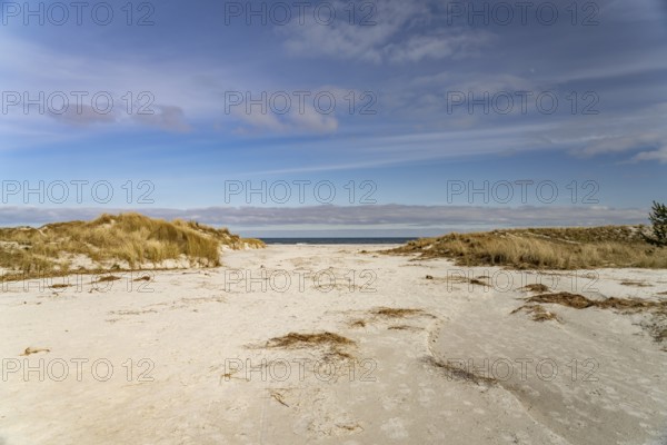 The Baltic Sea beach near Prerow, Mecklenburg-Western Pomerania, Germany, Europe