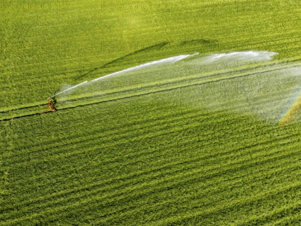 Artificial irrigation of a cereal field in April, with a sprinkler system, long dry spell in spring makes this necessary for the young plants to grow well, Kerken, Lower Rhine, North Rhine-Westphalia, Germany, Europe