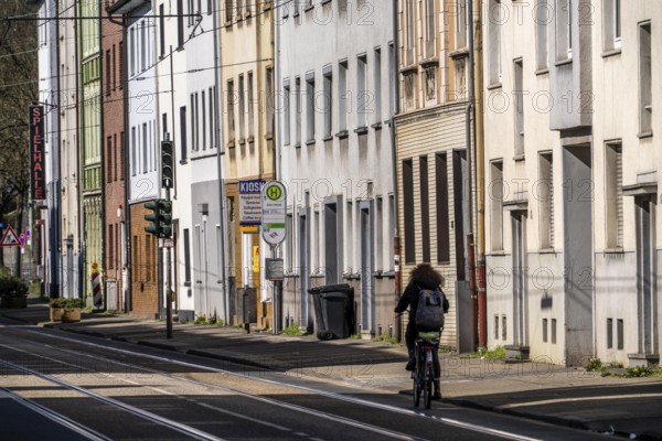 Bochumer Straße in Bochum, residential street in the Mitte district, Bogestra, tram line, Alte Heide stop, cyclists, North Rhine-Westphalia, Germany, Europe
