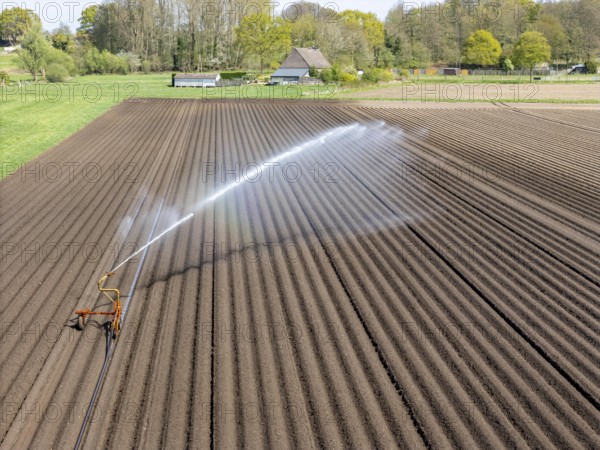Artificial irrigation of a potato field in April, with a sprinkler system, long drought in spring makes this necessary, for the total of 7.5 hectares 3 full days are needed to get the necessary moisture for the freshly sown potato plants, south of Straelen, Lower Rhine, North Rhine-Westphalia, Germany, Europe