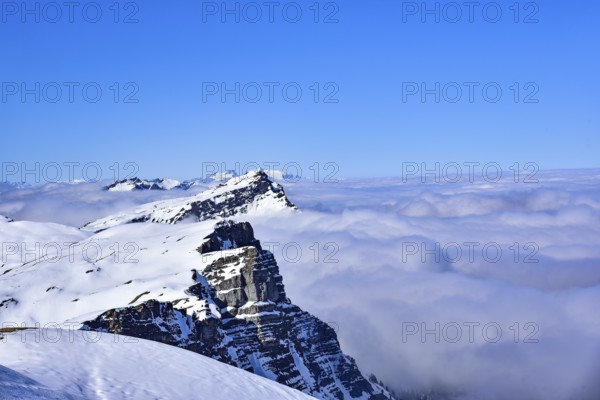 View from the Gottesacker plateau on the Hoher Ifen (2230 m) towards the west, Kleinwalstertal, Allgäu, Vorarlberg, Austria, Europe