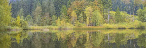 Marsh pond near Oberstdorf, Oberallgäu, Allgäu, Bavaria, Germany, Europe