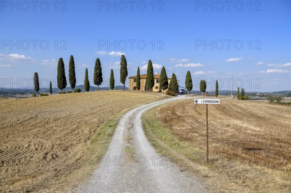 Cypresses in front of a country house, near Pienza, Val d'Orcia, Orcia Valley, Tuscany, Italy, Europe
