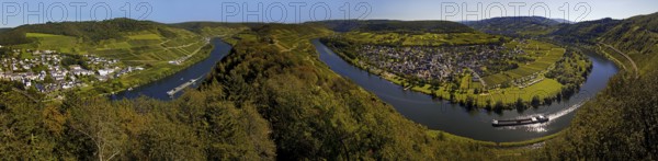 Panoramic view of the meandering Moselle from the Prinzenkopf Tower, Pünderich, Rhineland-Palatinate, Germany, Europe