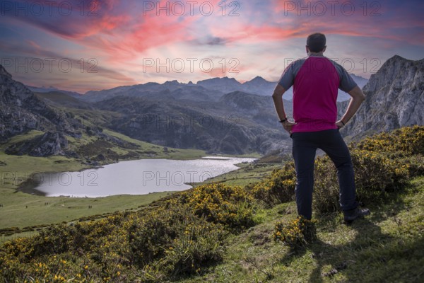 A young man looking at the beautiful Covadonga lake in Asturias in a beautiful spring sunset, Picos de Europa. Spain