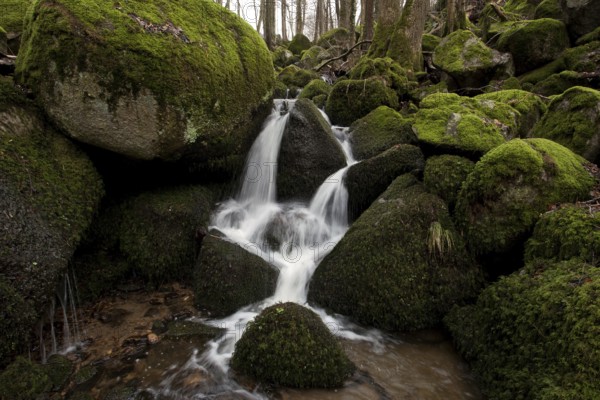 Moss-covered rocks, waterfalls, Geishöll waterfalls, In der Geishöll, near Sasbachwalden, Black Forest, Baden-Württemberg, Germany, Europe