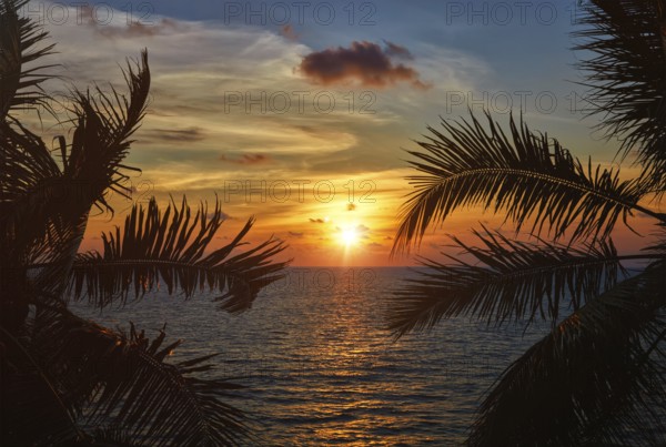 Beach vacation romantic holidays background, ocean sunset visible through palm leaves. Varkala, Kerala, India, Asia