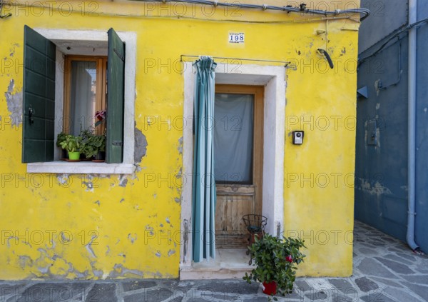 Yellow house facade with entrance door with green and white curtain and windows, colourful houses on the island of Burano, Venice, Veneto, Italy, Europe