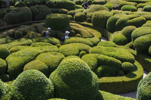 Boxwood garden, Les Jardins de Marqueyssac, Vezac, Dordogne, Périgord, Département Dordogne, Region Nouvelle-Aquitaine, France, Europe
