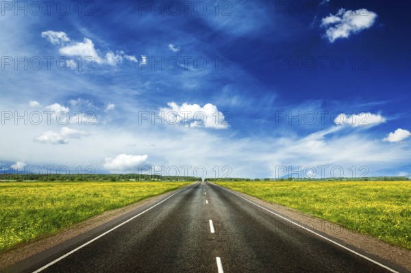 Travel concept background, an empty road with a blue sky and blooming green spring fields on either side