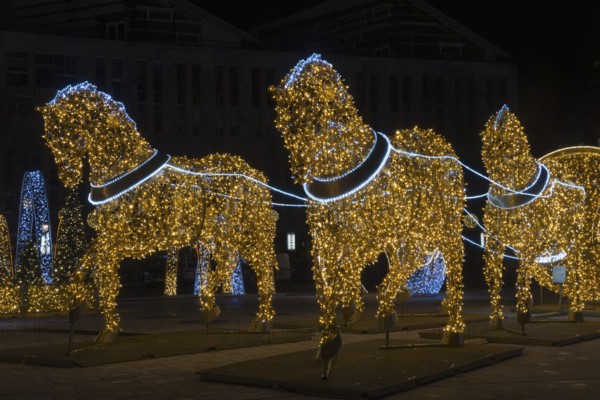 Golden horse figures, cathedral square, world of lights, Magdeburg, most extensive Christmas and winter lighting in Central Germany, Saxony-Anhalt, Germany, Europe