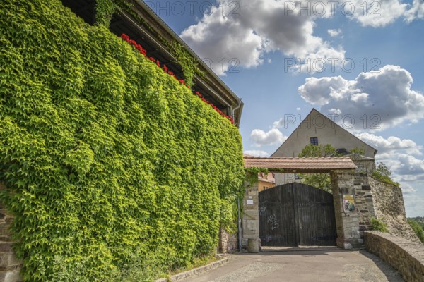 Burg, entrance to the grammar school, Wettin, Saxony-Anhalt, Germany, Europe