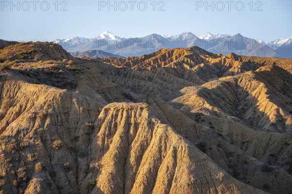 Landscape of eroded hills at sunrise, badlands, white mountain peaks of the Tian Shan Mountains in the background, Canyon of the Forgotten Rivers, Issyk Kul, Kyrgyzstan, Asia