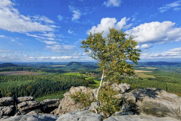 View from Gohrisch in Saxon Switzerland