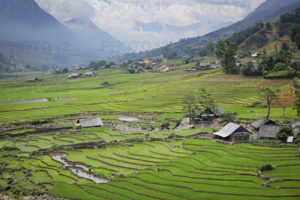 Farm shed in rice field terraces. Near Sapa, Vietnam, Asia
