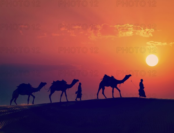 Vintage retro effect filtered hipster style image of Rajasthan travel, two indian cameleers camel drivers with camels silhouettes in dunes of Thar desert on sunset. Jaisalmer, Rajasthan, India, Asia