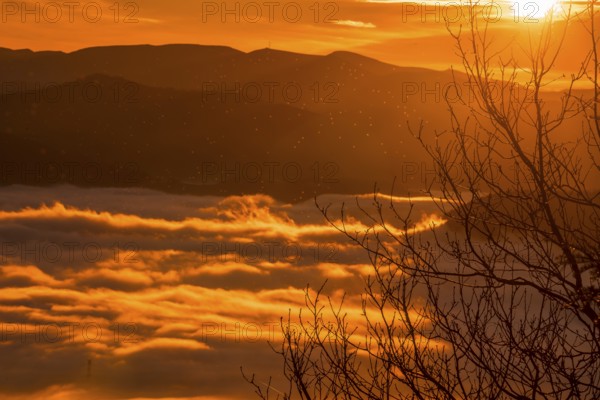 Dawn with a dense orange fog on a winter morning in Agina, Navarra. Basque Country