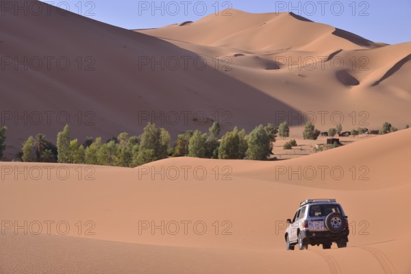 Car driving in the dunes, Great Sand Sea, Sahara, Merzouga, Meknès-Tafilalet region, Morocco, Africa