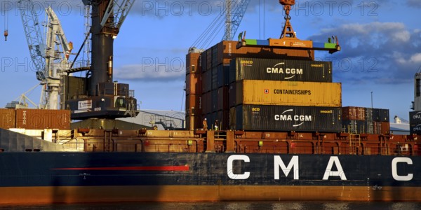 Container ship loading in Steinwerder Harbour at the South-West Terminal, Norderelbe, Hamburg, Germany, Europe