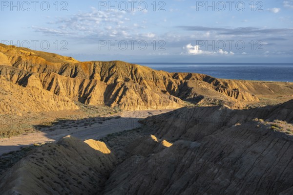 Canyon runs through a landscape of eroded hills at sunrise, Badlands, Issyk Kul Lake in the background, Canyon of the Forgotten Rivers, Issyk Kul, Kyrgyzstan, Asia