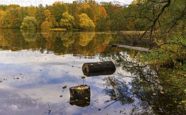 Autumn time at Lehnitzsee, Lehnitz, Brandenburg, Germany, Europe