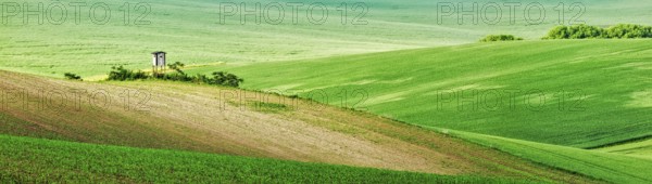 Panorama of Moravian rolling landscape with hunting tower shack on sunset. Moravia, Czech Republic, Europe