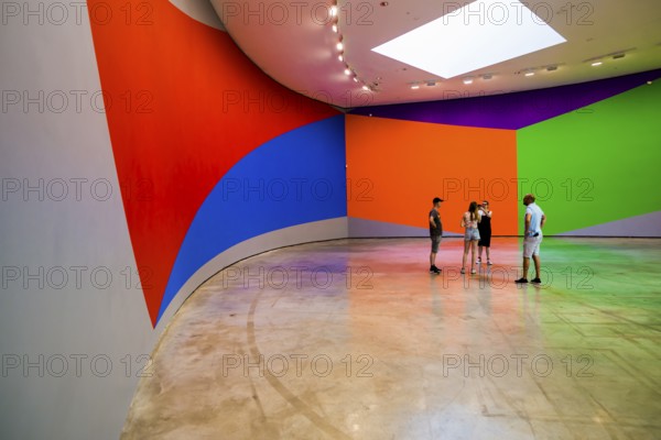 Guggenheim Museum, architect Frank Gehry, interior view, artist Sol Lewitt, Bilbao, Basque Country, Spain, Europe