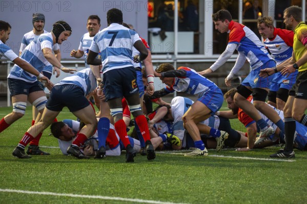Rugby 1st Bundesliga South/West, season 2024/25, matchday 7 (catch-up match) : Heidelberger Ruderklub 1872 against Rugby Club Luxembourg