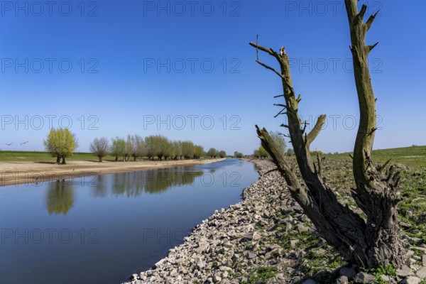 The Gierthausen oxbow lake near Schenkenschanz, Kleve, on the Lower Rhine, North Rhine-Westphalia, Germany, Europe