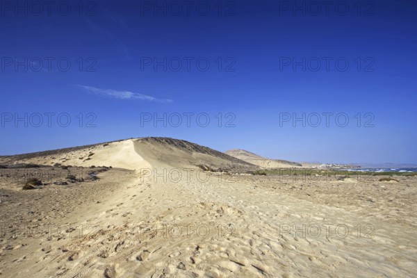 Wet sand dune and beach Playa Risco del Paso, Playa de Sotavento, Pajara, Fuerteventura, Canary Islands, Spain, Europe
