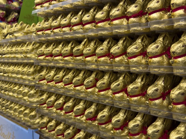 Display on retail shelf wholesale of large quantity of chocolate Easter bunnies chocolate Easter bunnies chocolate Easter bunnies wrapped in golden gold coloured staniol paper, Germany, Europe