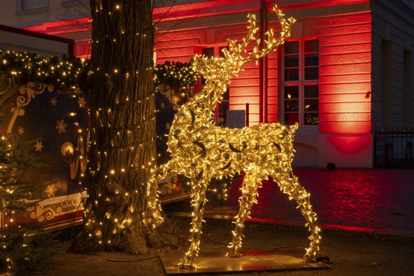 Reindeer with lights, figure, decoration, Christmas market at Charlottenburg Palace, blue hour, Berlin, Germany, Europe