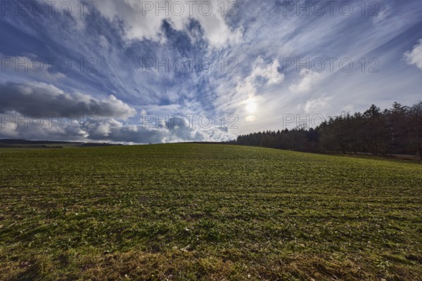 Field, agriculture, coniferous forest, deep blue sky, cumulus clouds, cirrostratus clouds, backlight of the sun, Dreis-Brück, Eifel, Vulkaneifel district, Rhineland-Palatinate, Germany, Europe