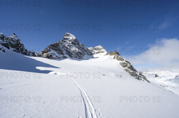 Ascent to the summit of Piz Kesch on the Vadret da Porchabella glacier in winter, view of Piz Kesch mountain peak, high tour, ski tour Bündner Haute Route, Albula Alps, Rhaetian Alps, Grisons, Eastern Switzerland, Switzerland, Europe