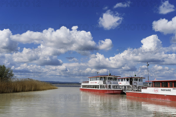 Bicycle ferry at the landing stage, Illmitz, National Park, Lake Neusiedl, Seewinkel, Burgenland, Austria, Europe