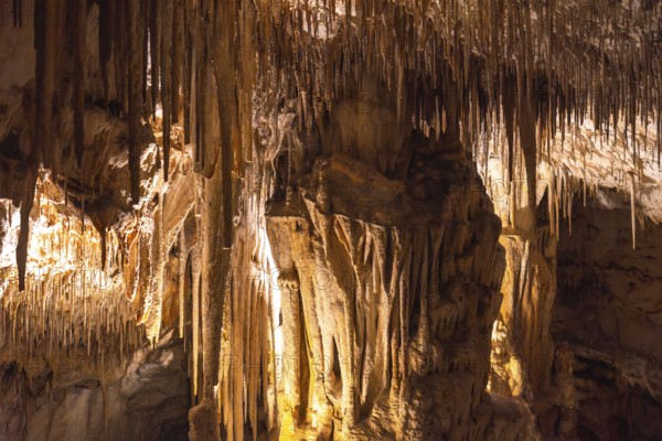 Warm colored stalactites and stalagmites creating evocative shapes inside the caves of drach in majorca, spain
