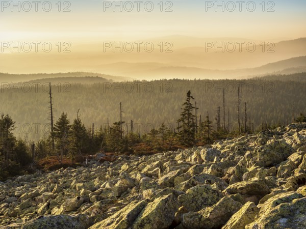 View from the Lusen with Blockmeer in the golden evening light, Bavarian Forest National Park, Lower Bavaria, Bavaria, Germany, Europe