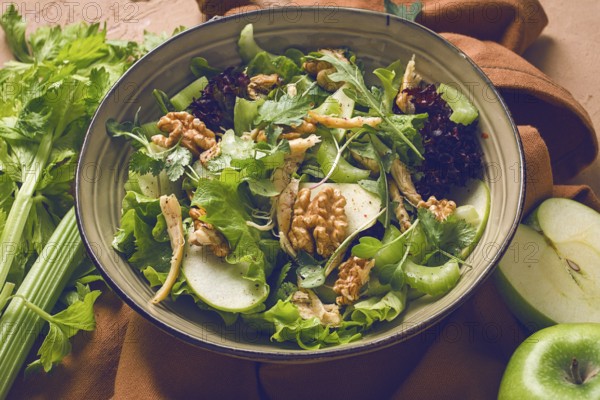 Fresh, Waldorf salad, celery stalk with chicken, apple and walnut, grapes, herbs, homemade, no people