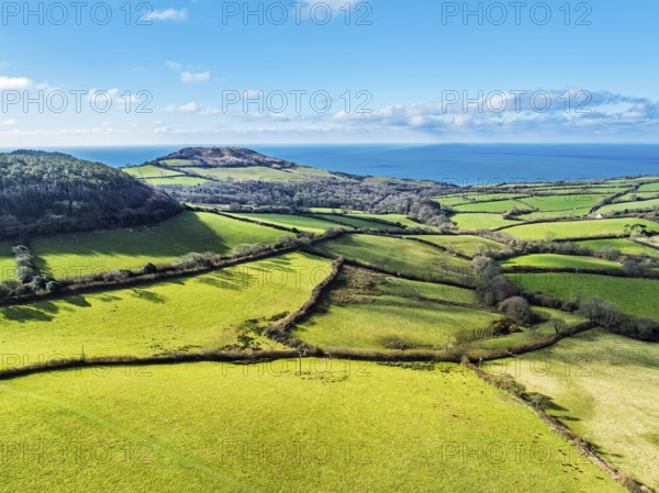Farms over Road A35 from a drone, Morcombelake Village, Bridport, Dorset, England, United Kingdom, Europe