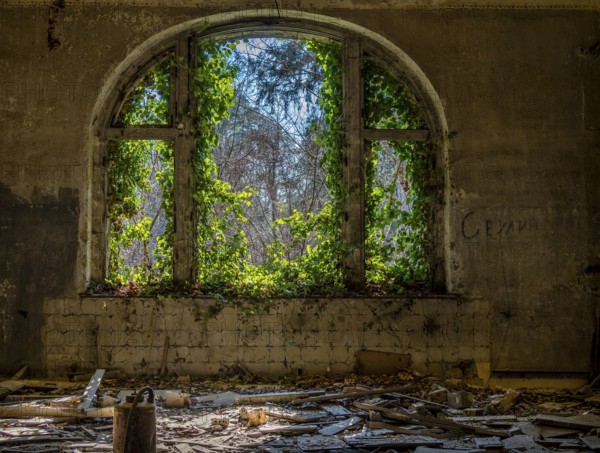 Interior view, former Alpine house on the historic site of the tuberculosis sanatorium in Beelitz, Brandenburg, Germany, Europe