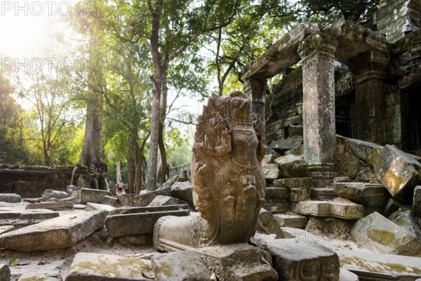 Ta Prohm, Angkor Wat, Angkor, UNESCO World Heritage Site, Siem Reap, Cambodia, Indochina, Southeast Asia, Asia