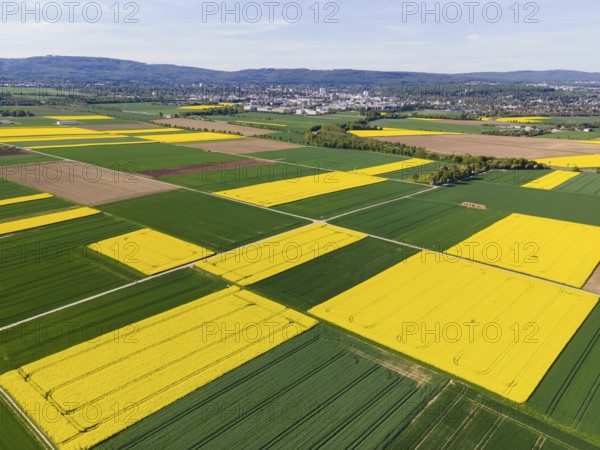 The Taunus ridge rises behind blossoming rape fields and the town of Bad Homburg. (Aerial view with a drone), Frankfurt am Main, Hesse, Germany, Europe