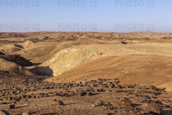 View over the lunar landscape near Swakopmund in the evening light, Namibia, Africa