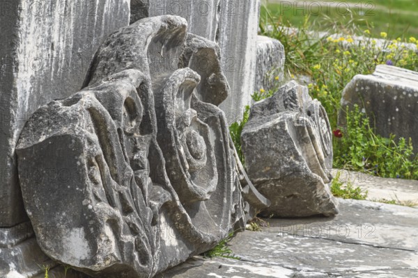 Priene archaeological site, Güllübahçe, Aydin province, Aegean region, Turkey, Asia